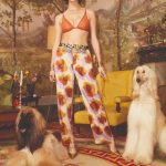 Papillon Lingerie |